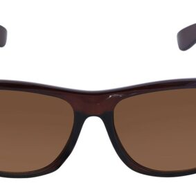 Brown Wayfarer Men Sunglasses (P425BR1|56)